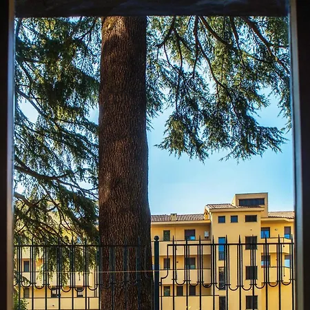 By The Small -downtown Como